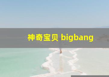 神奇宝贝 bigbang